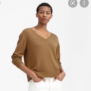 Everlane Soft Cotton V-Neck Sweater in Ochre